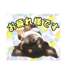 お仕事ジップ（個別スタンプ：10）