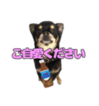 お仕事ジップ（個別スタンプ：16）