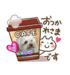トイプー家族3（個別スタンプ：2）