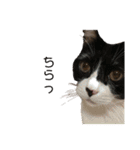 family_20200429145826（個別スタンプ：1）