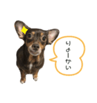 family_20200429145826（個別スタンプ：10）