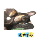 family_20200429145826（個別スタンプ：12）