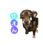 family_20200429145826（個別スタンプ：13）