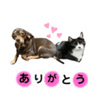 family_20200429145826（個別スタンプ：16）