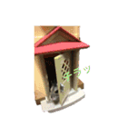 ハムスターのチョコ（個別スタンプ：9）
