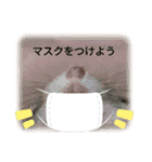 ハムスターのチョコ（個別スタンプ：30）