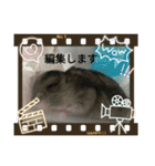 ハムスターのチョコ（個別スタンプ：32）