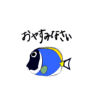 ばきばき泳ぐ熱帯魚 パウダーブルー（個別スタンプ：6）