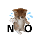 chacha"（個別スタンプ：2）