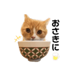 chacha"（個別スタンプ：12）