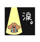 僕は、コタロー。（個別スタンプ：7）