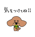 僕は、コタロー。（個別スタンプ：11）