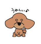 僕は、コタロー。（個別スタンプ：17）