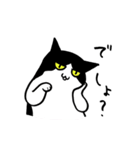 たまのほっこり生活（個別スタンプ：13）