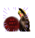 太郎の日常①（個別スタンプ：6）