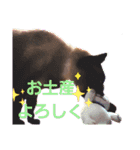 太郎の日常①（個別スタンプ：7）