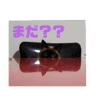 太郎の日常①（個別スタンプ：11）