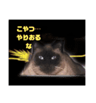 太郎の日常①（個別スタンプ：14）