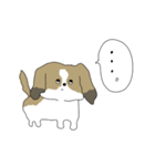 私の愛犬ですよ。（個別スタンプ：8）