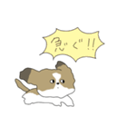 私の愛犬ですよ。（個別スタンプ：21）