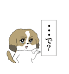 私の愛犬ですよ。（個別スタンプ：30）