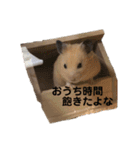 くりきんとんの日常（個別スタンプ：3）