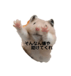 くりきんとんの日常（個別スタンプ：6）