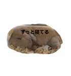 くりきんとんの日常（個別スタンプ：7）