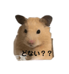 くりきんとんの日常（個別スタンプ：8）