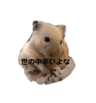 くりきんとんの日常（個別スタンプ：11）