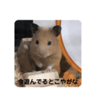 くりきんとんの日常（個別スタンプ：12）