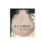 くりきんとんの日常（個別スタンプ：13）