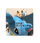 くりきんとんの日常（個別スタンプ：15）