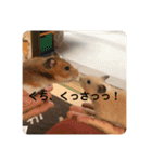 くりきんとんの日常（個別スタンプ：16）