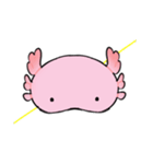 ウーパールーパー05（個別スタンプ：1）