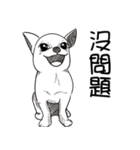 可愛いチワワ皆さんと楽しみ（個別スタンプ：5）