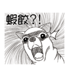 可愛いチワワ皆さんと楽しみ（個別スタンプ：7）