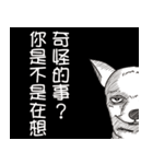 可愛いチワワ皆さんと楽しみ（個別スタンプ：8）