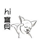 可愛いチワワ皆さんと楽しみ（個別スタンプ：9）