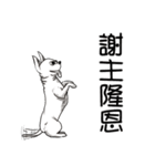 可愛いチワワ皆さんと楽しみ（個別スタンプ：10）