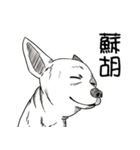 可愛いチワワ皆さんと楽しみ（個別スタンプ：13）