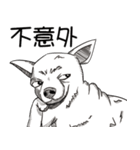 可愛いチワワ皆さんと楽しみ（個別スタンプ：14）