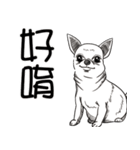 可愛いチワワ皆さんと楽しみ（個別スタンプ：16）