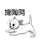 可愛いチワワ皆さんと楽しみ（個別スタンプ：17）