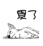 可愛いチワワ皆さんと楽しみ（個別スタンプ：18）
