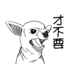 可愛いチワワ皆さんと楽しみ（個別スタンプ：21）