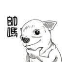 可愛いチワワ皆さんと楽しみ（個別スタンプ：22）