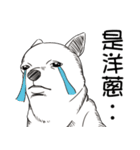 可愛いチワワ皆さんと楽しみ（個別スタンプ：23）