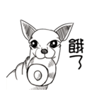 可愛いチワワ皆さんと楽しみ（個別スタンプ：25）