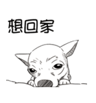 可愛いチワワ皆さんと楽しみ（個別スタンプ：27）